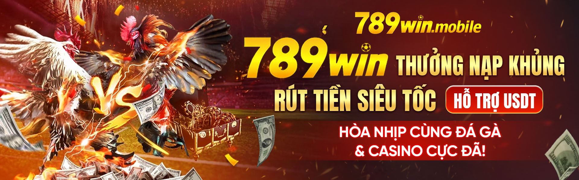Banner 2 789win